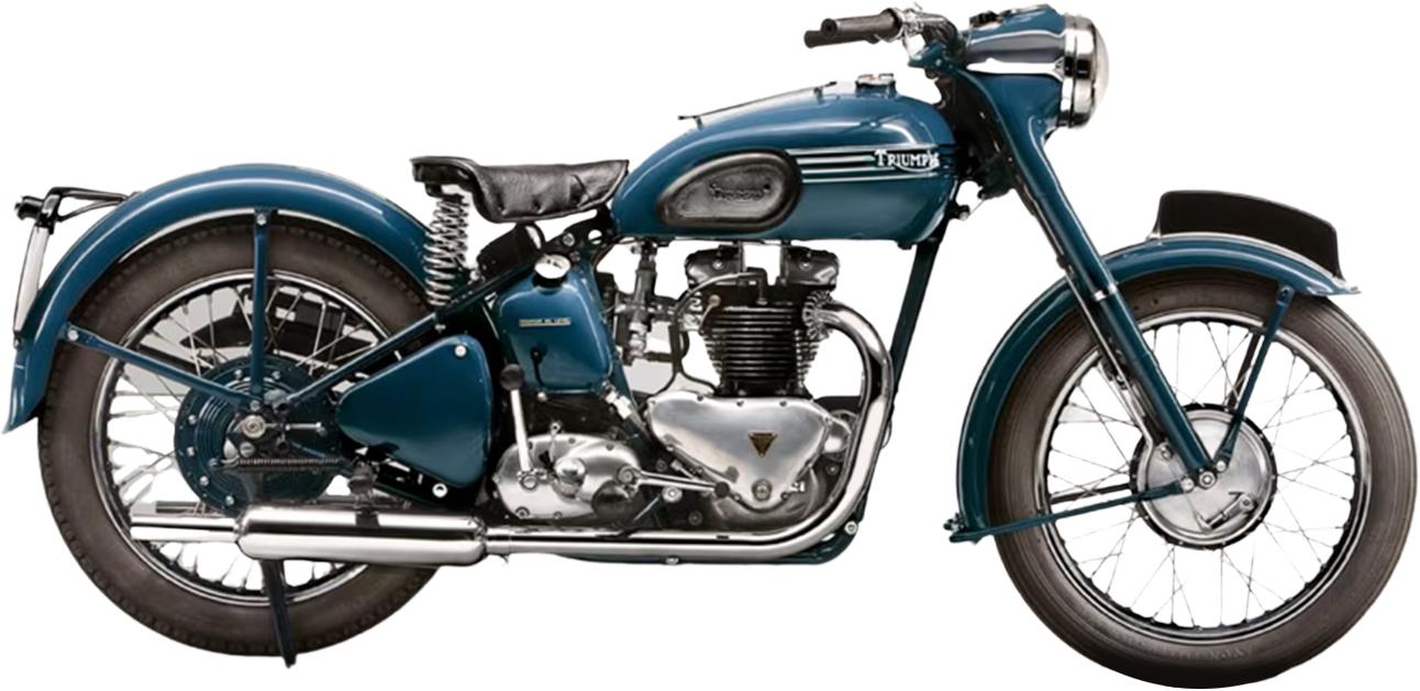 Triumph Thunderbird 6T - O Selvagem